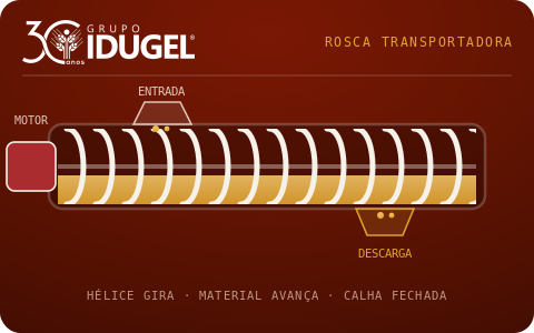 Rosca Transportadora